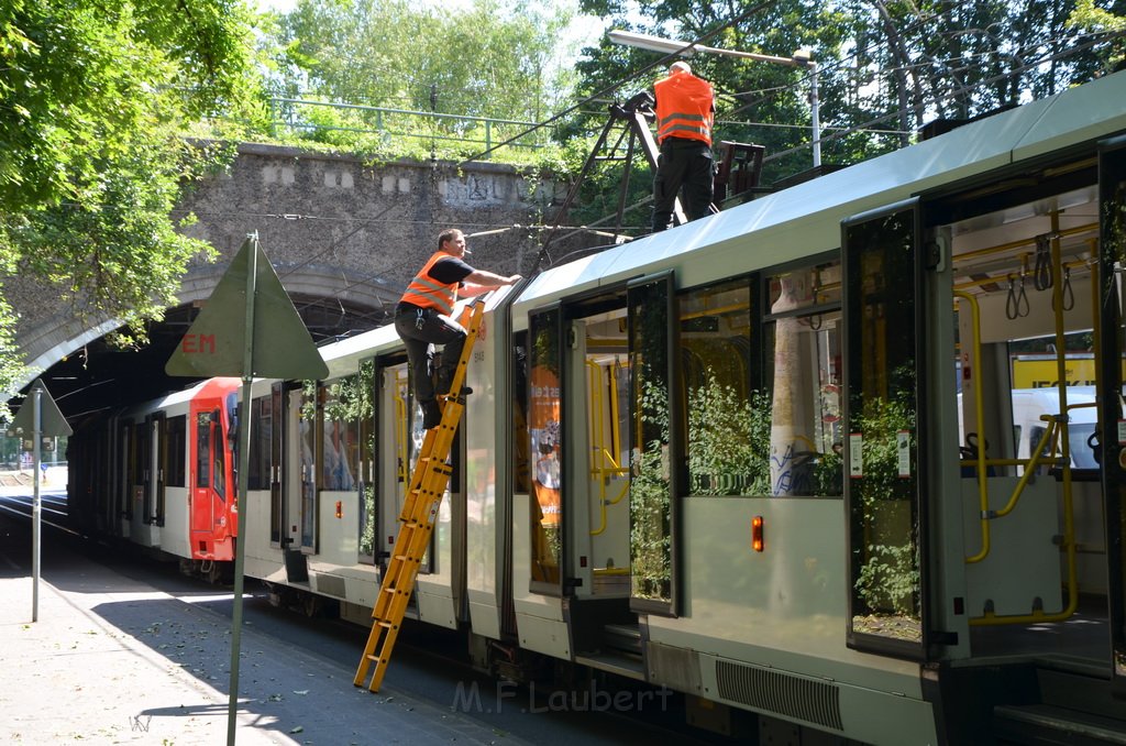 KVB Bahn defekt Koeln Buchheim Heidelbergerstr P61.JPG - Miklos Laubert